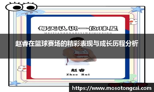 赵睿在篮球赛场的精彩表现与成长历程分析