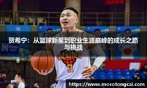 贺希宁：从篮球新星到职业生涯巅峰的成长之路与挑战