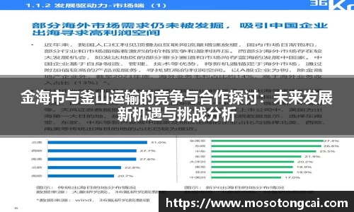 金海市与釜山运输的竞争与合作探讨：未来发展新机遇与挑战分析